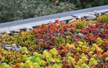 the cost of Forncett End green roof installation