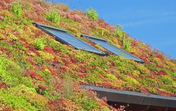 Forncett End living roof systems