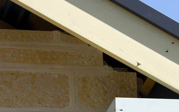 soffit repair Forncett End